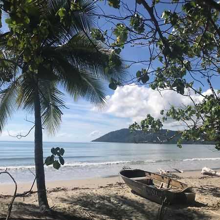 Daintree Rainforest Beach House Villa Diwan Eksteriør billede