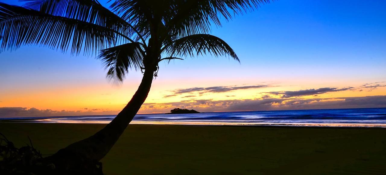 Daintree Rainforest Beach House Villa Diwan Eksteriør billede