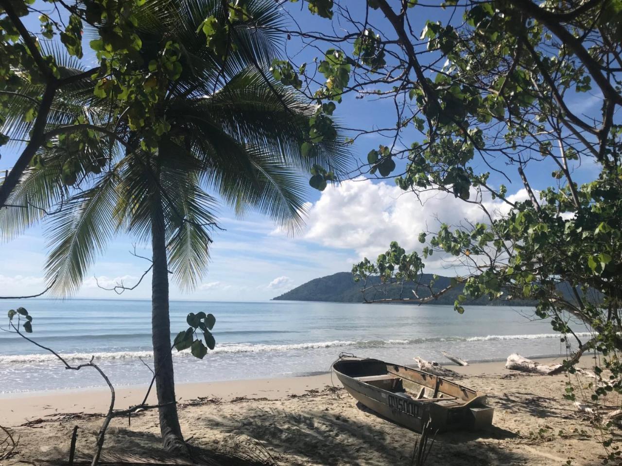 Daintree Rainforest Beach House Villa Diwan Eksteriør billede